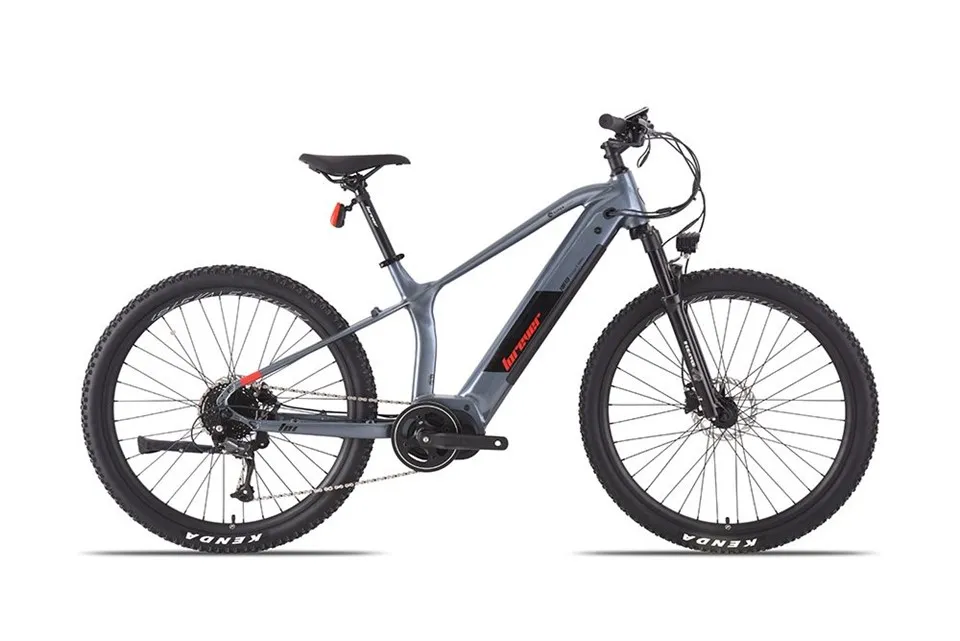 Електрични бицикл за одрасле