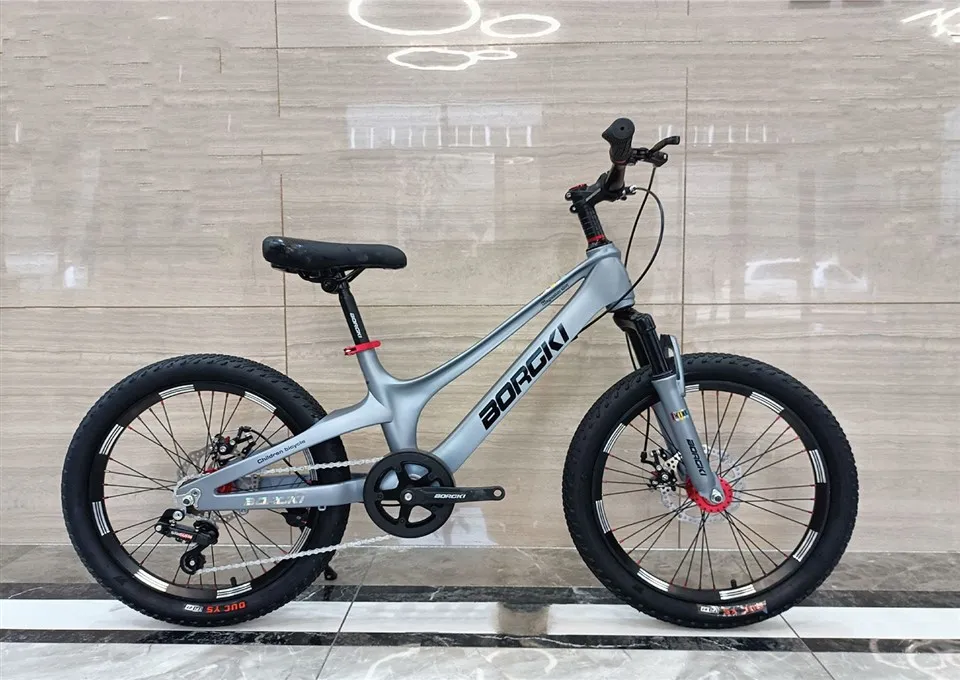 Magnesium Alloy Children Bicycle